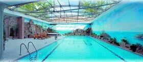 СПА-центр Cronwell Resort Falke 4* включает бассейн с противотоками, фитнес-зал, джакузи с минеральной водой и зимний сад