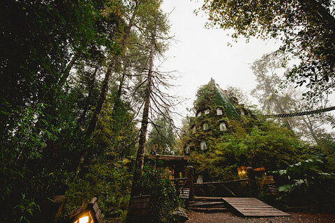Magic Mountain Hotel