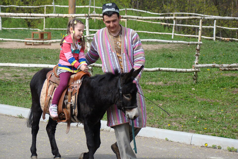 Конный клуб отеля предлагает катание на пони или ослике для маленьких гостей, а также ряд других услуг для детей и взрослых
