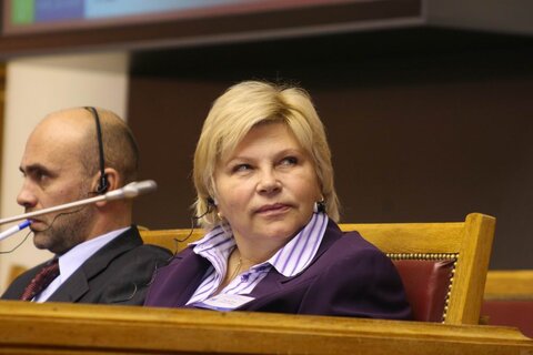 Елена Драпеко, первый заместитель председателя Комитета Государственной думы Федерального собрания РФ по культуре