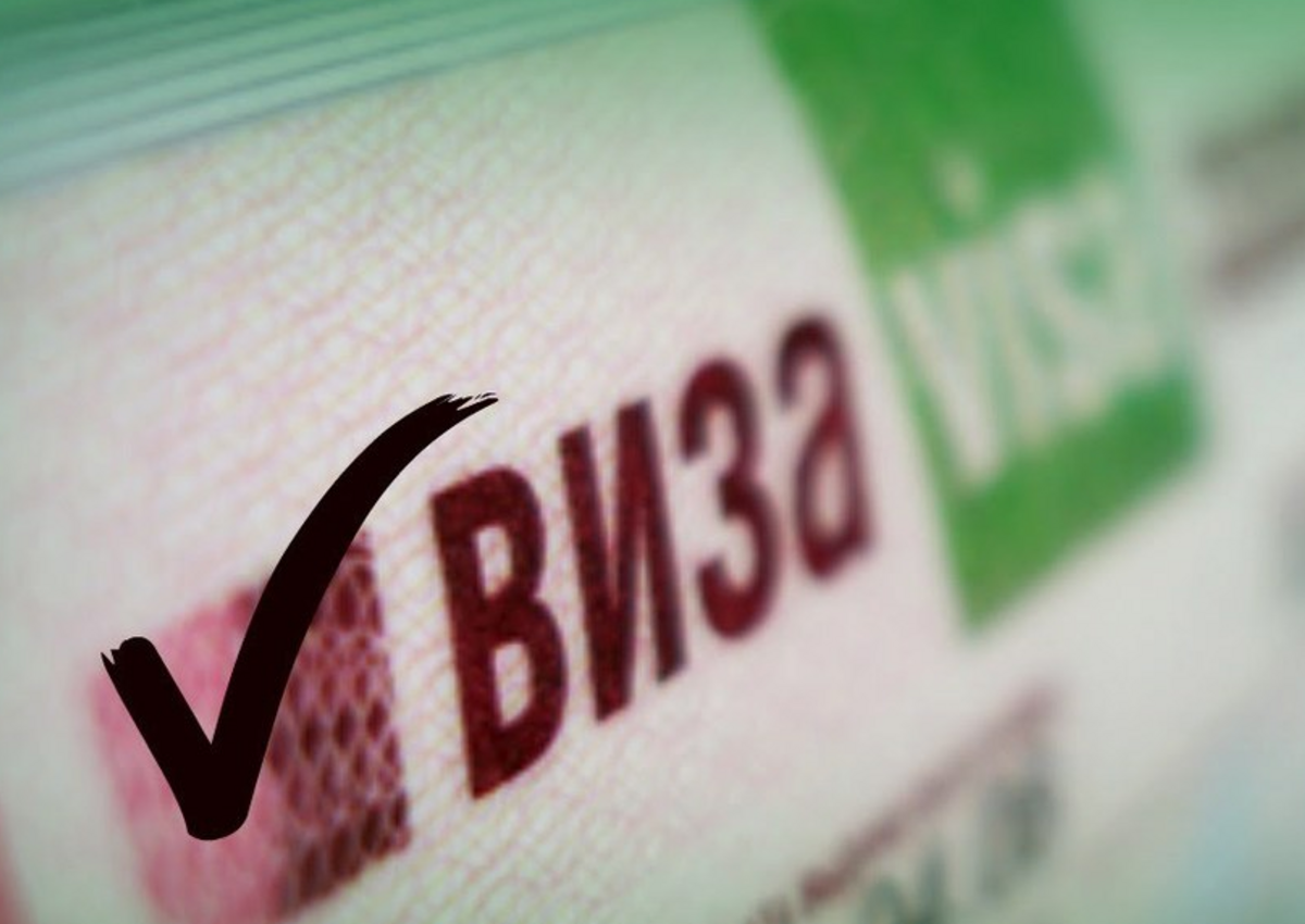 Правительство РФ предложило ввести однократную электронную визу для иностранцев