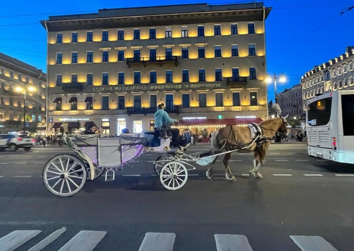 Цены на отели в Санкт-Петербурге оказались в 1,5 – 2 раза ниже, чем в Европе