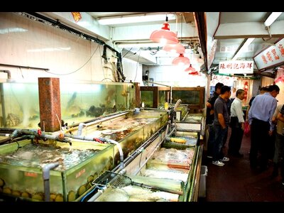 Лучшие морские рестораны в Гонконге