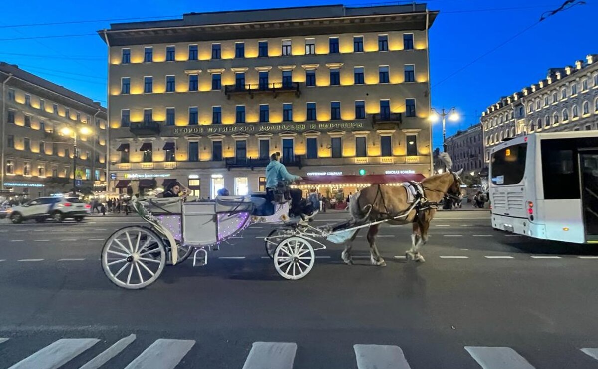 Цены на отели в Санкт-Петербурге оказались в 1,5 – 2 раза ниже, чем в Европе