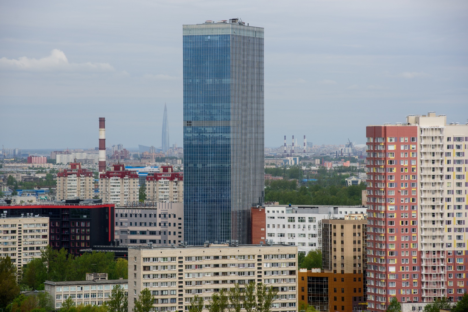 Вырастет в тени 