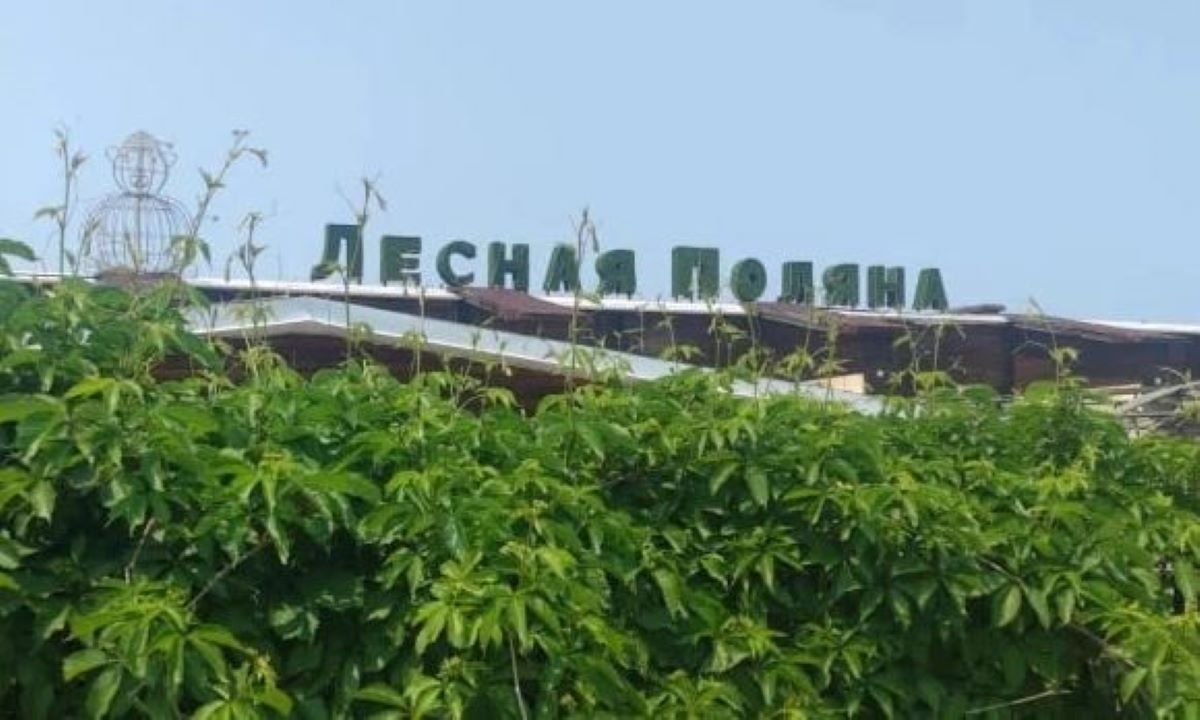 Судебные приставы вернут «Лесную поляну» в собственность Владивостока 